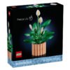 11504_box1_v29.jpg LEGO Botanicals - Les fleurs de lune 11504