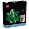 11504_box5_v29.jpg LEGO Botanicals - Les fleurs de lune 11504