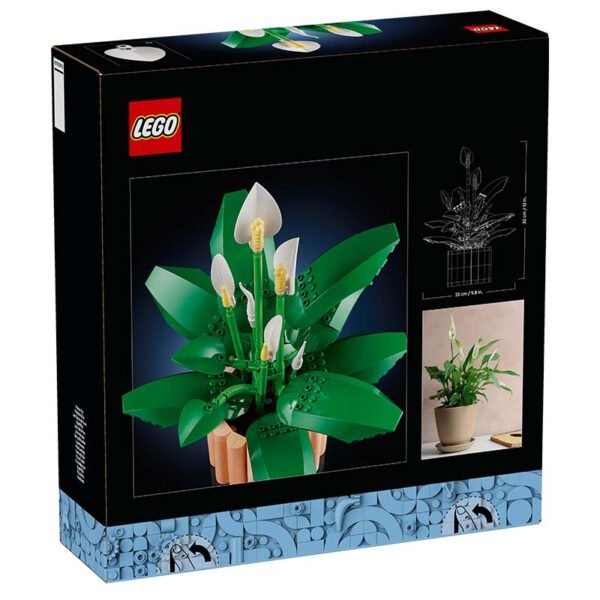 11504_box5_v29.jpg LEGO Botanicals - Les fleurs de lune 11504
